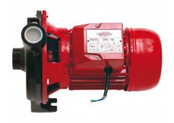 Pompa de suprafata pentru apa curata 750 W Raider Power Tools RD-CPM158